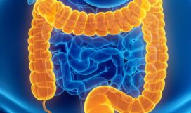 gut