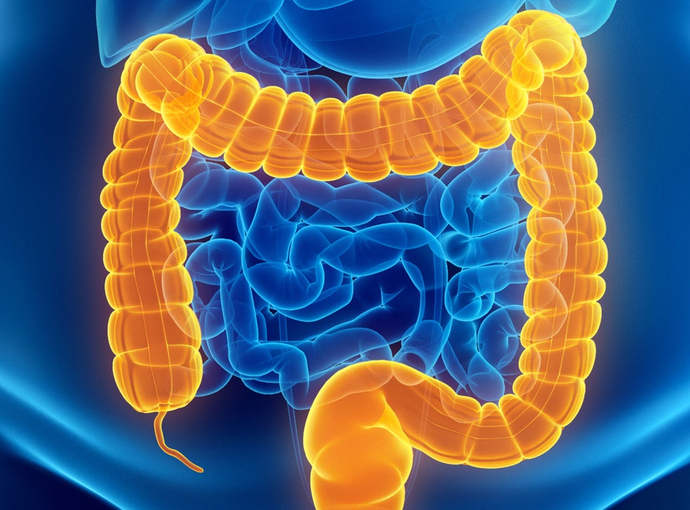 gut